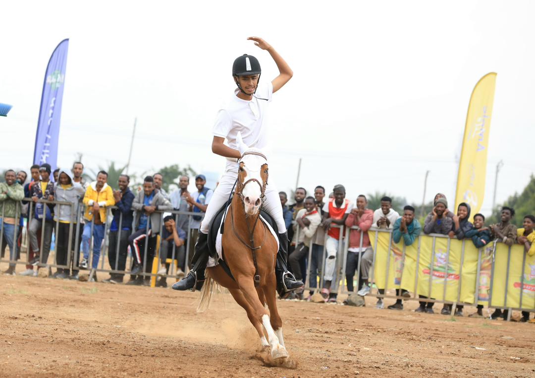best-horse