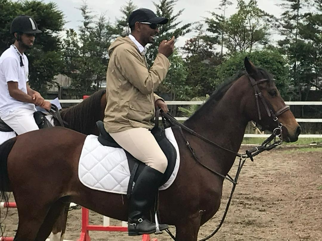 horse
